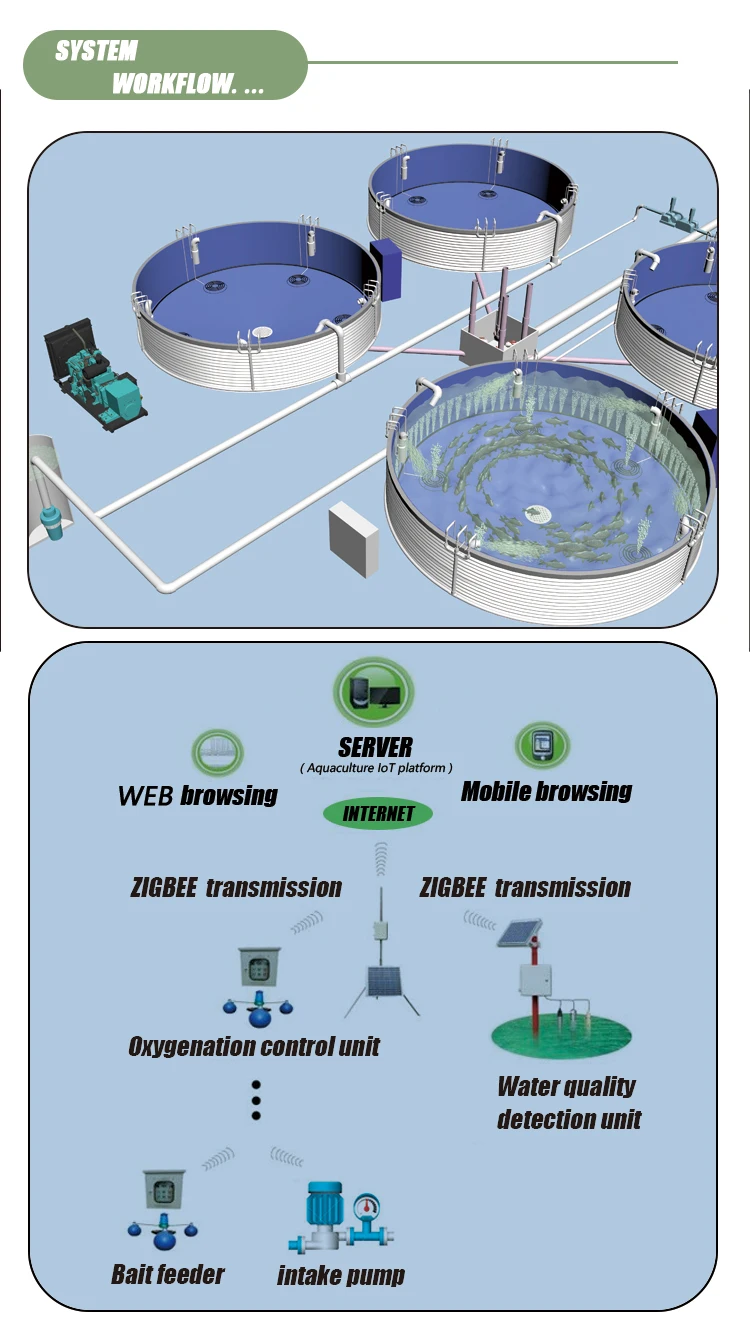 Ras System Aquaculture Pond Farming System Shrimp Tilapia Fish Farming Equipment