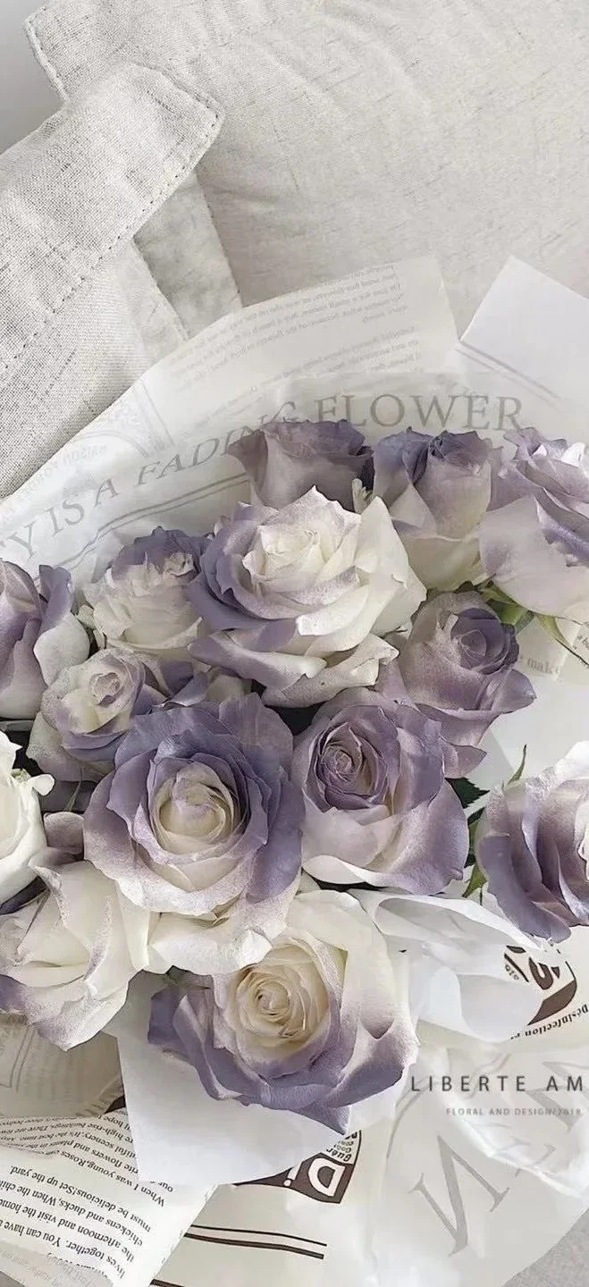 Metall-Differenzial-Outdrive-Diff-Getriebe, Planetenzahnräder für 1/10 Arrma Bigrock Kraton Outcast Senton 1/8 Infraction Typhon Vendetta