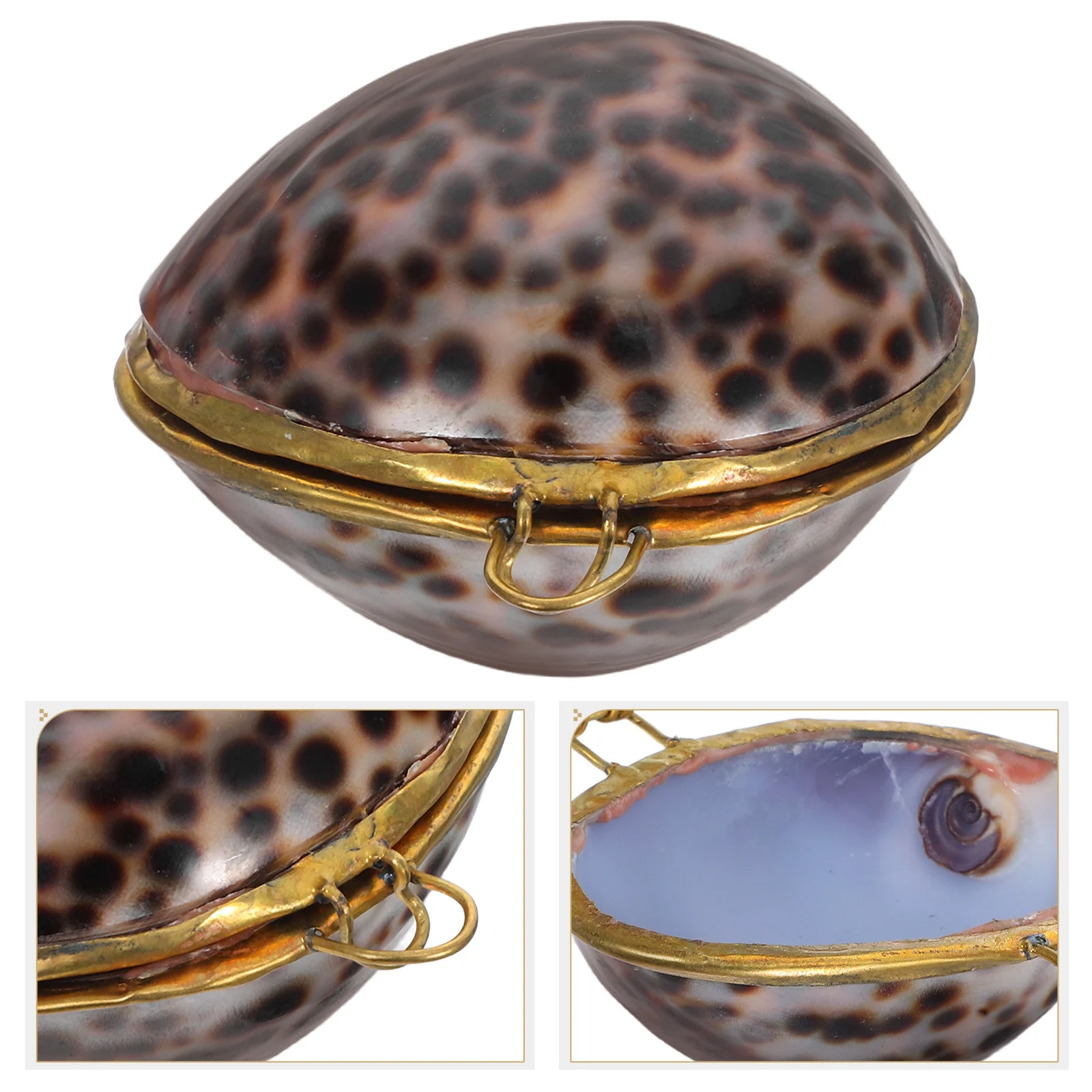 

Shell Jewelry Box Sea Style Premium Quality Gift Storage Organizer For Wedding Anniversary Birthday Ring Earring Necklace Case