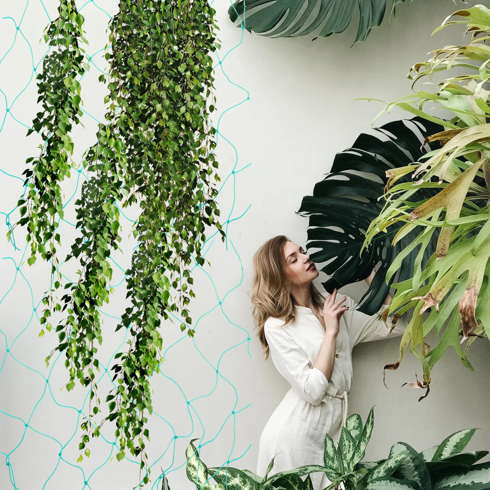 

Durable Polyethylene Climbing Trellis Net Plant Vine Support Garden Decor Multi-functional Fit Vines Growing Straight Healthily