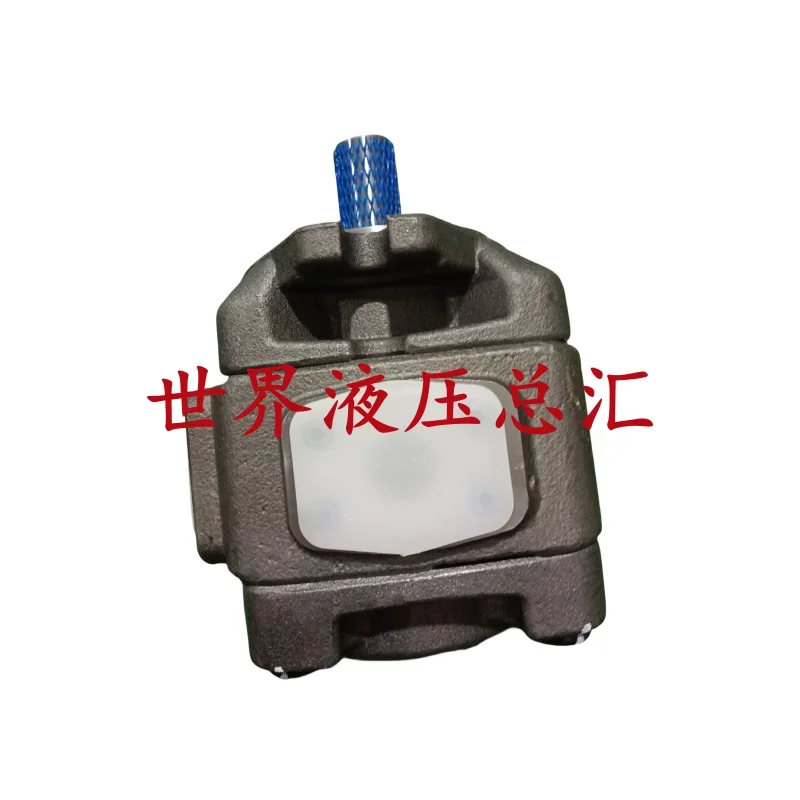 CP1/0/2-40/32/125/63/20/16/13/80/100-P-10R Hydraulic Gear Pump 50