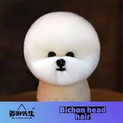 Mr. Jiang  Bichon Fake Hair( wig only  no modle) Pet Teacher Beauty Modeling Practice Dog Model  Dog Whole Body Fake Hair