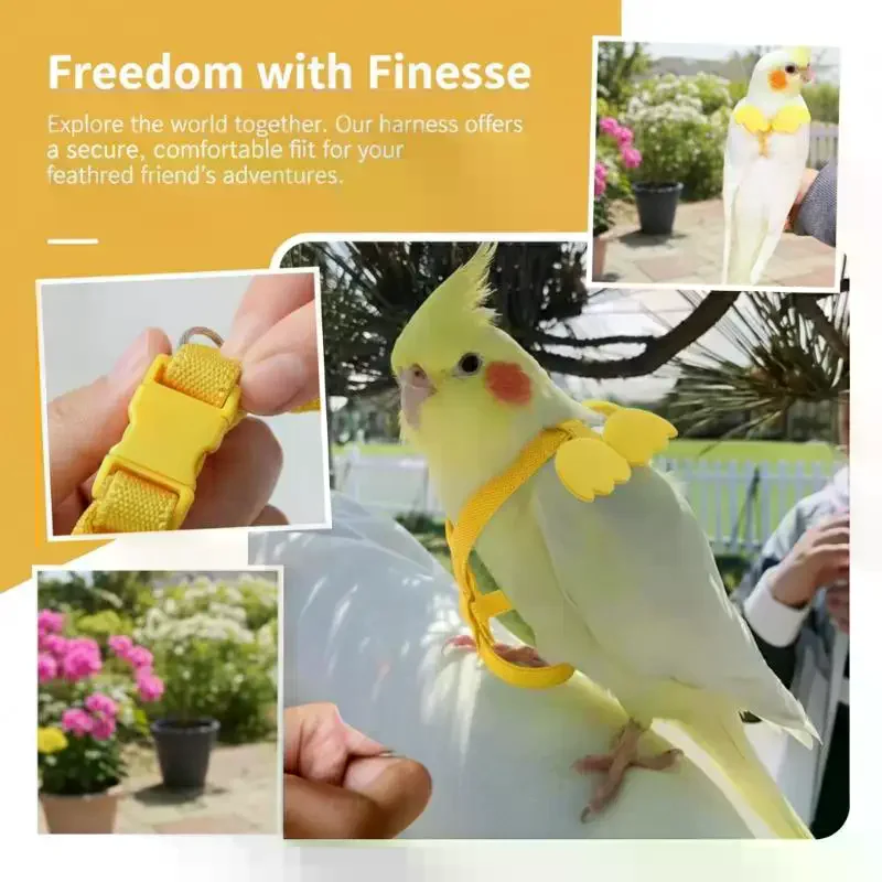 Random Adjustable Parrot Bird Harness Leash Set Anti-bite Training Harness Parrots Outdoor Flying Rope