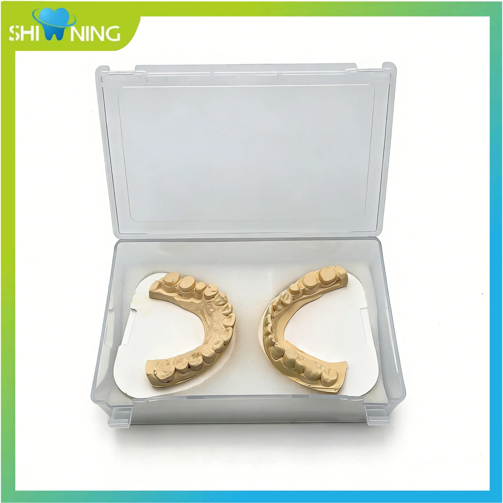 

Набор из 10 футляров для полноротовых зубных моделей – Защитные контейнеры для зубных протезов и протезирования для зуботехнических лабораторий