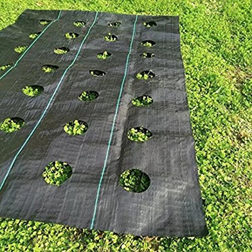 Biodegradable Plastic weedmat net agriculture control weed net