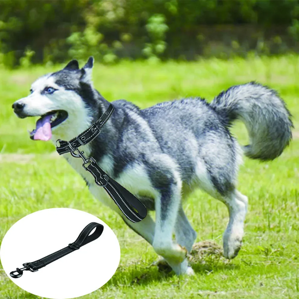 

Taglory Short Dog Leash,Traffic Padded Handle,Heavy Duty Short Nylon Dog Lead For Training Control,Reflective Threads Pet Leash