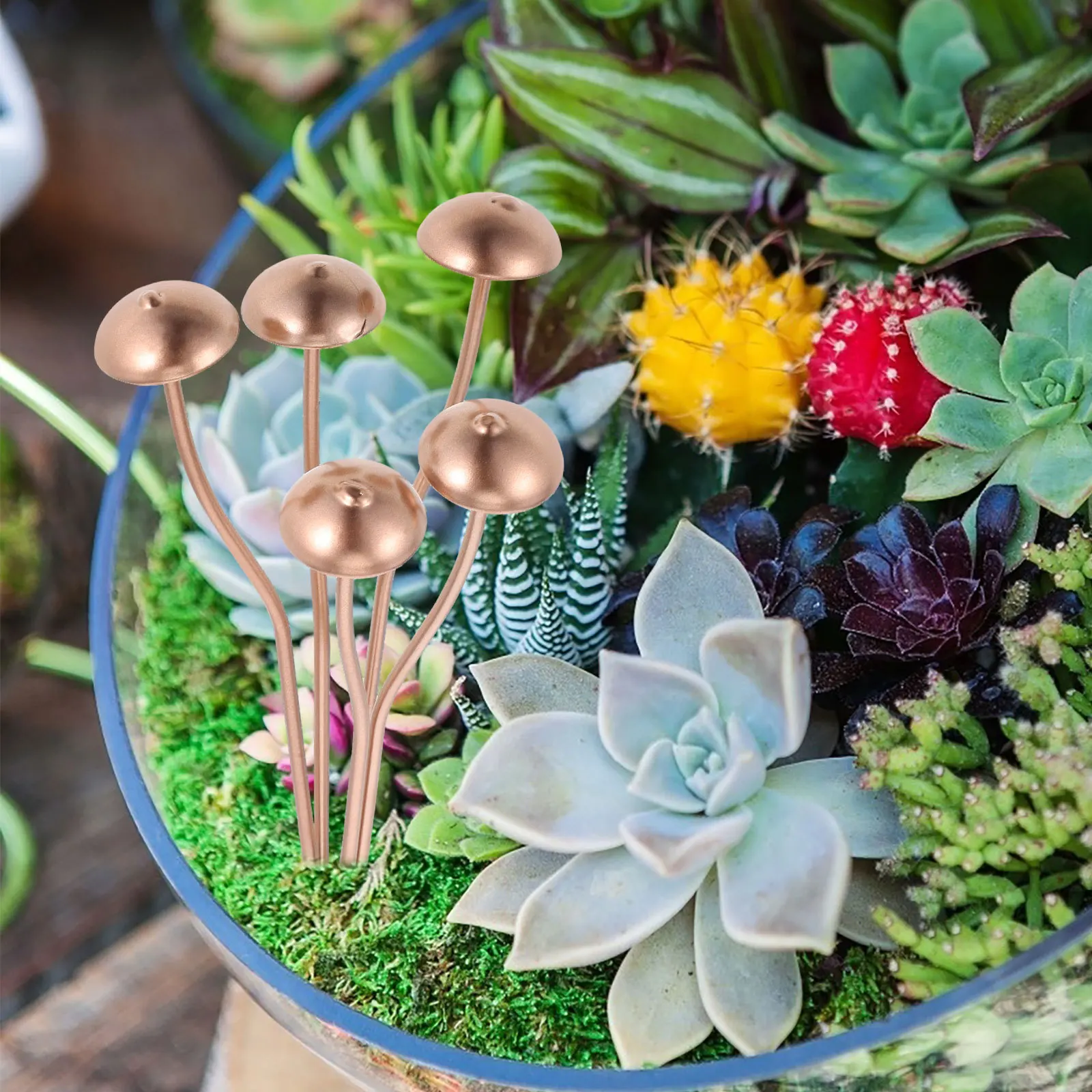 

1Set Metal Mushroom Garden Stake Decorative Iron Mushroom Yard Ornament Flowerpot Planter Pot Outdoor Garden Decor