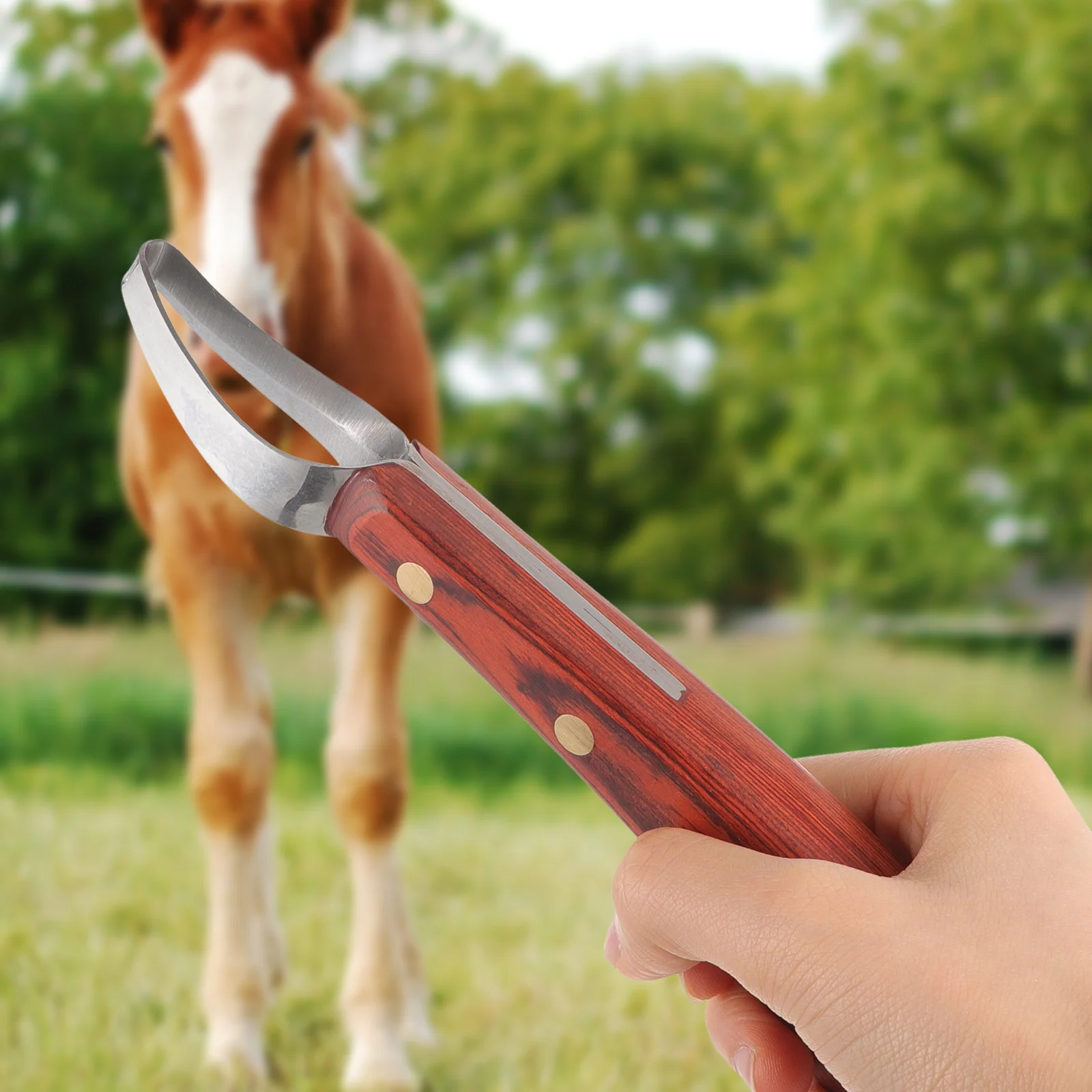 

Horse Hoofing Knife Trimmer Reusable Manganese Steel Daily Use