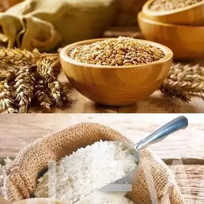 آلة غربال تهتز الطعام الشبكية، جهاز فحص سطح السفينة، مزيل الشوائب، صانع فحص المواد الحبيبية الكبيرة