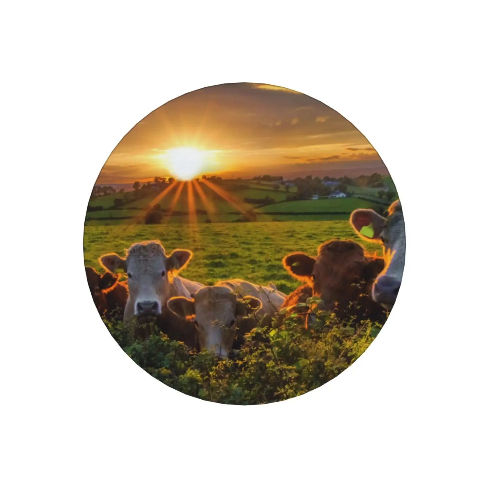 

Cow Coasters for Drinks, Absorbent Ceramics Coasters with Cork Base, Tabletop Protection, Suitable for Dining Tables, Desks