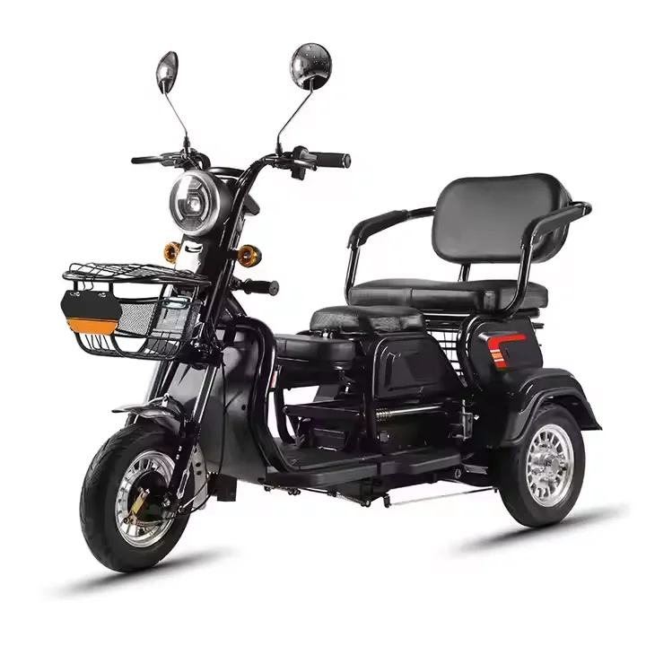 2025 China's 48V Electric Motorcycle Three-Wheel Steel Frame Scooter Brushless Motor 1000W 3-Speed 31-60km Range New Small