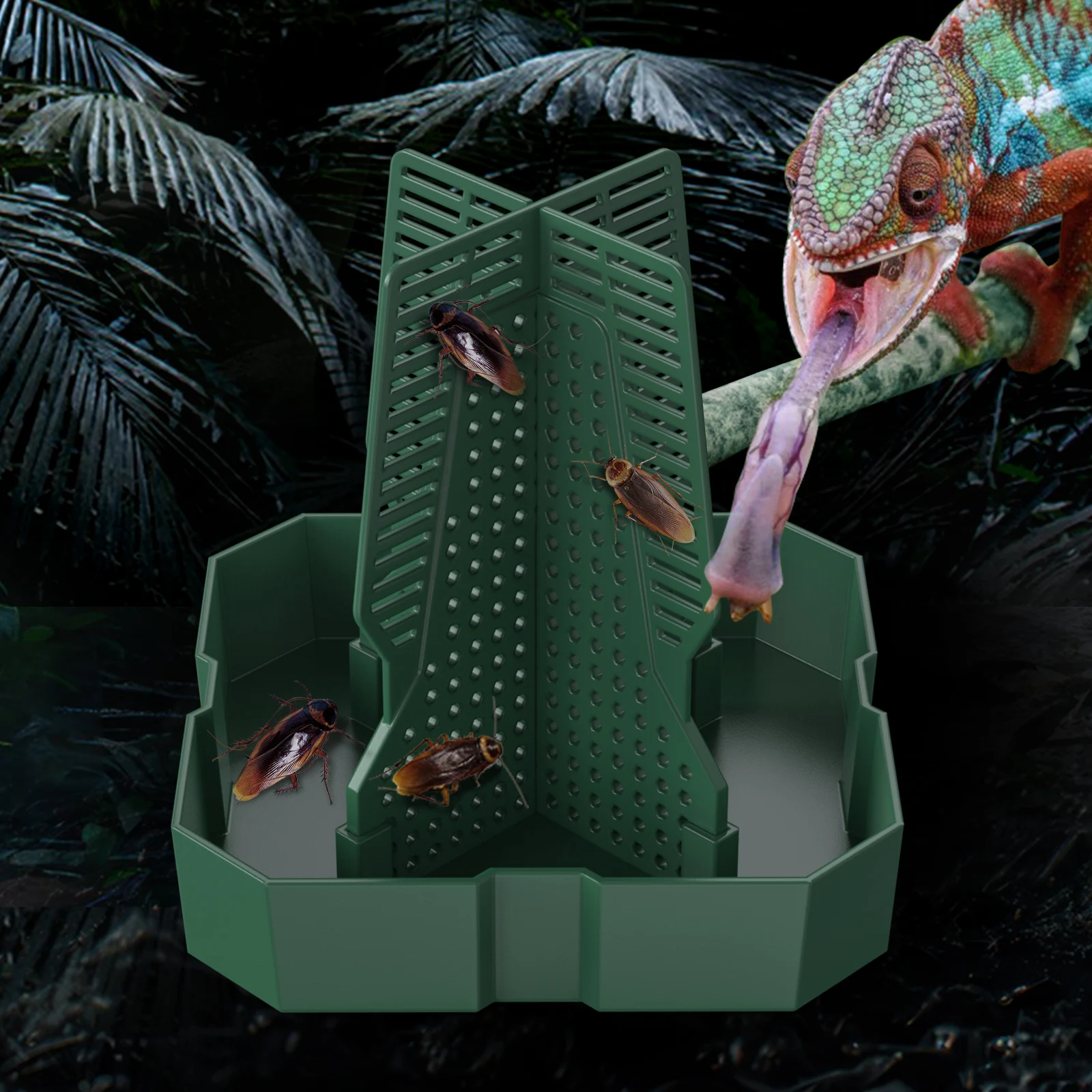 1 Cricket, Dubia Co… - image