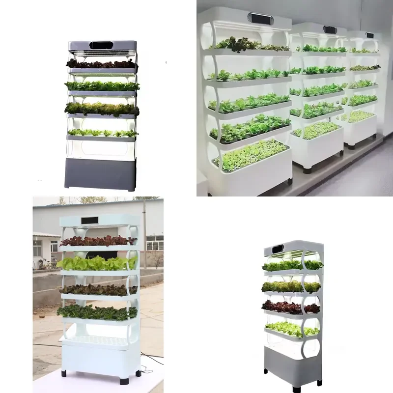 

SFW Certificate Home Garden Hydroponic Growing System LED Grow Light Planting Cabinet for Lettuces