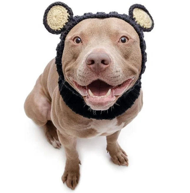 Costume Pet Earmuffs Dog Noise Protection Ear Muffs Warm Knit Dog Snood Wrap Neck Ear Cover Protection for Halloween Winter
