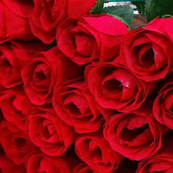 8 best sales Czerwony kwiat - №6