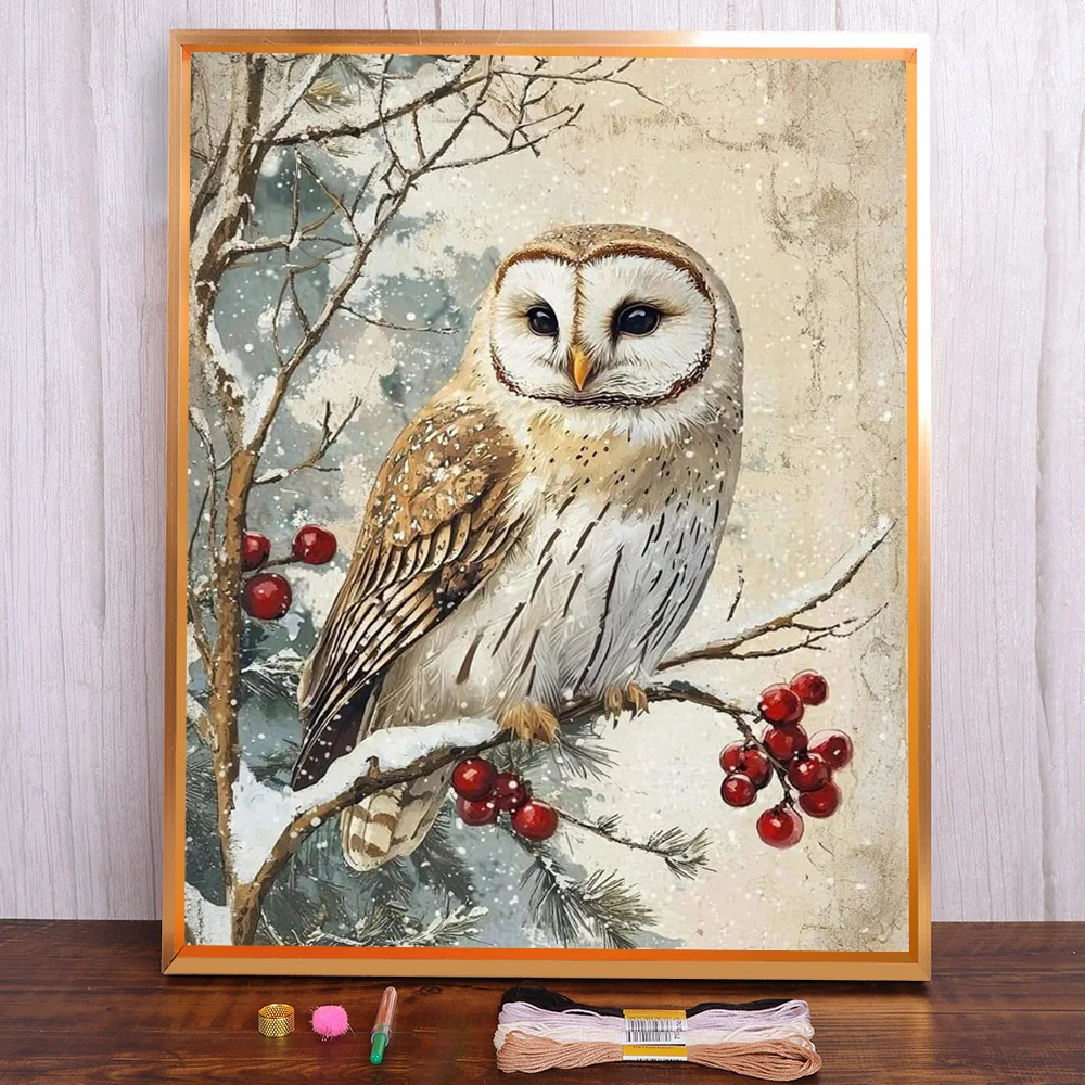 

Bird Owl Printed Water-Soluble Canvas Cross Stitch DIY Embroidery Set Handiwork Hobby Craft Handmade Package Floss For Adults