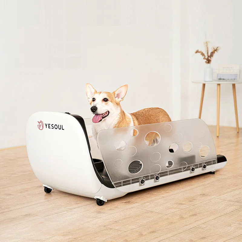 Pet training products dog home treadmill walking machine  small pet cat dog treadmill as pet training behavior products