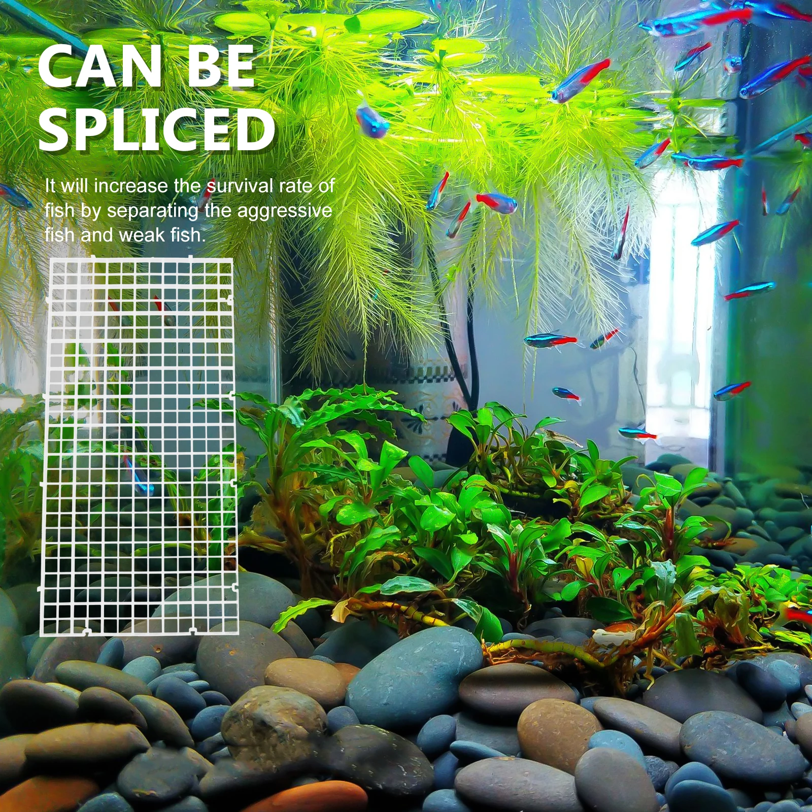 

Fish Tank Divider Aquarium Breeding Isolation Mesh Dividers Accessories Board Supply Filter Plate