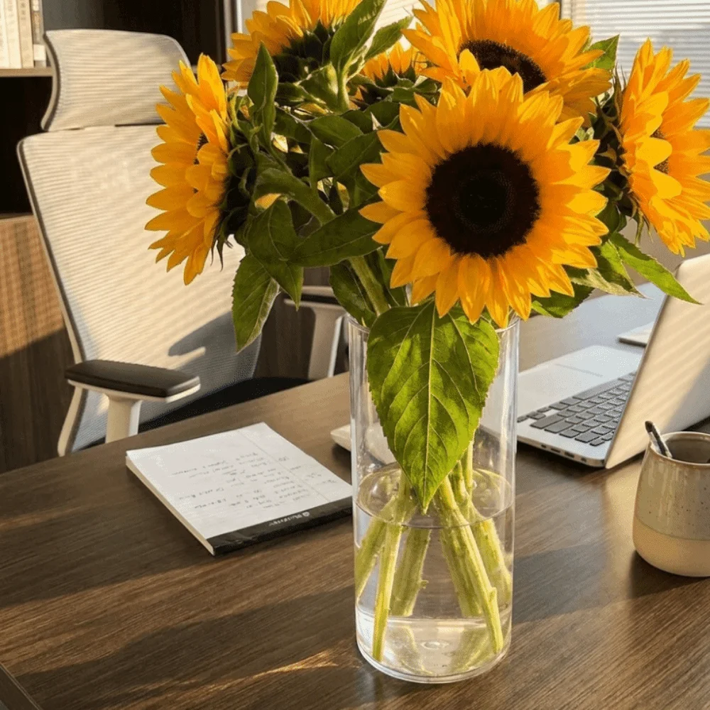 Minimalist Transparent Flower-Wrapping Vases Cylindrical Plastic Clear Flower Vases Modern Shatterproof Flower Holder Parties