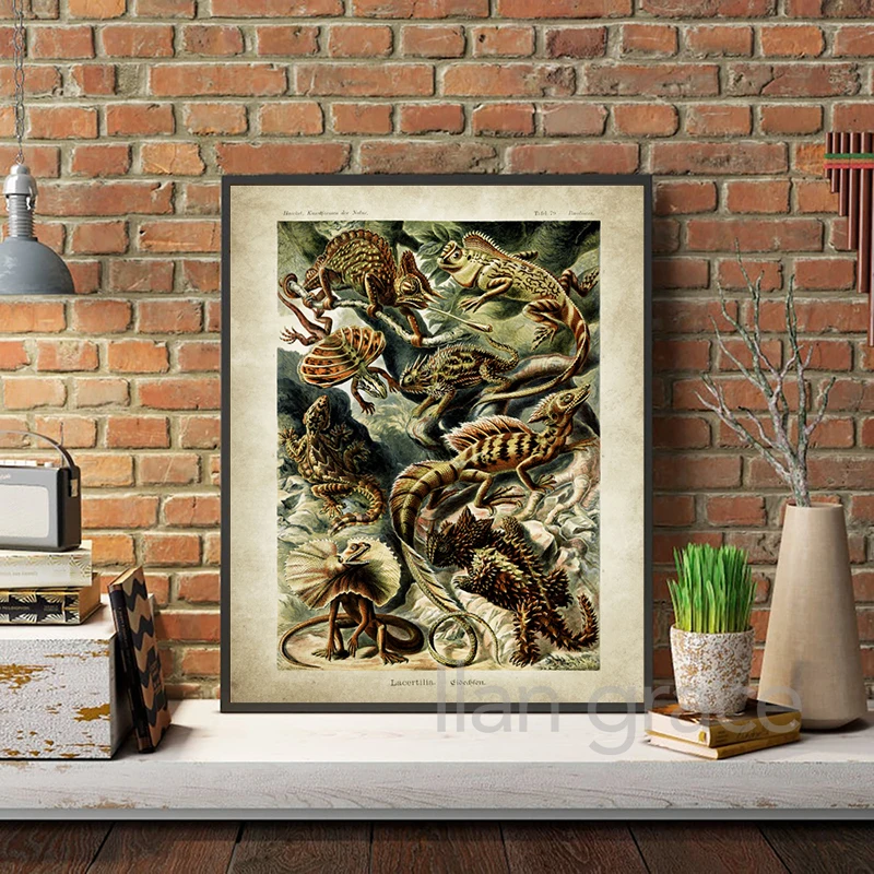 Ernst هايكل علم الأحياء الملصقات شجرة النخيل يطبع خمر الطنان النباتية الاستوائية الرسم على لوحات القماش الجدارية صور ديكور #5