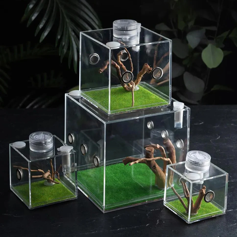 Pet Spider Insect Acrylic Breeding Box Mantis Grasshopper Reptile Ecological Box Jumping Ant Cricket Spider Box Landscaping Déco