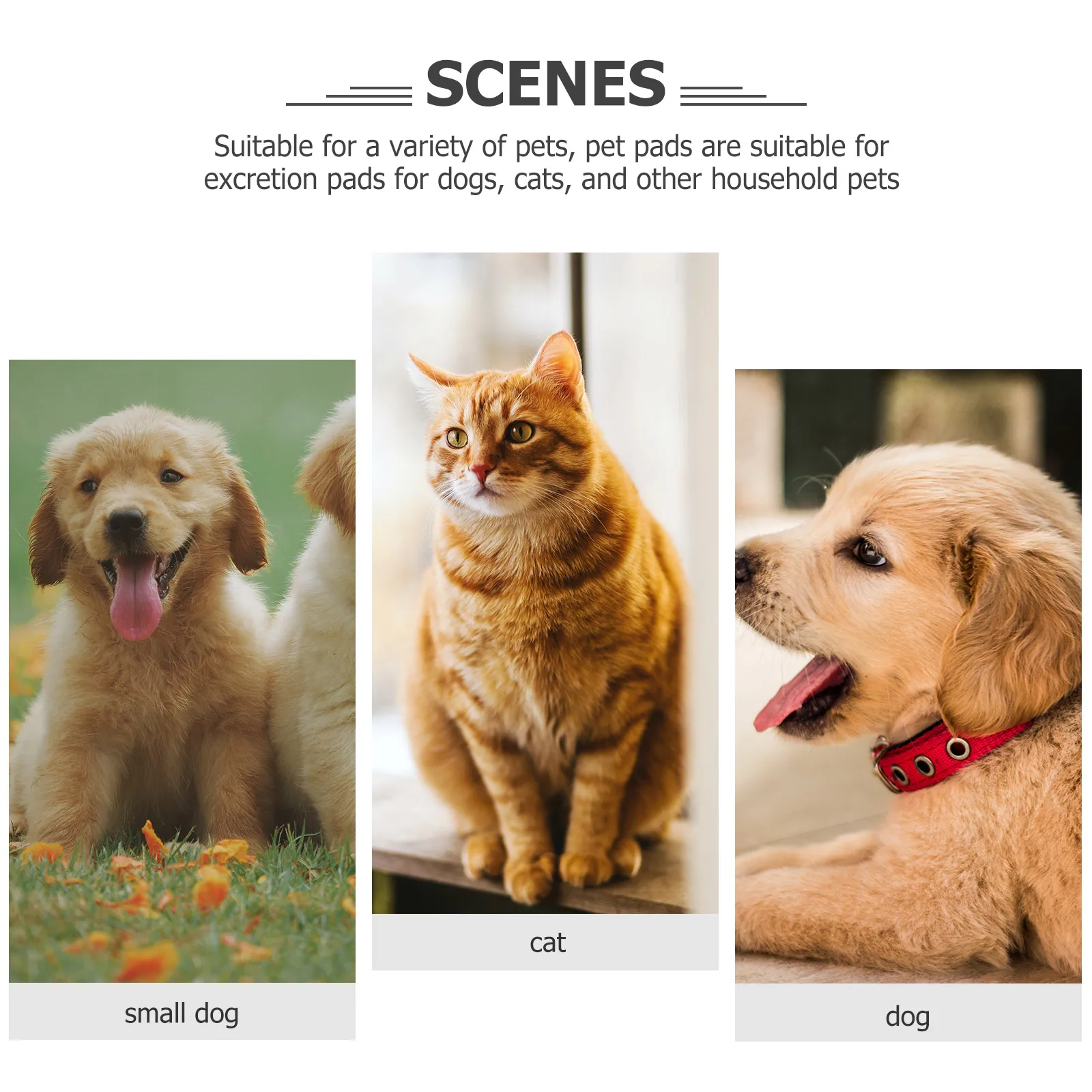 

Nail Trimming Tools Pet Grooming Hammock Large Dog Cat Sling Comb Accessories Puppy Kitten Sturdy Practical Long Time
