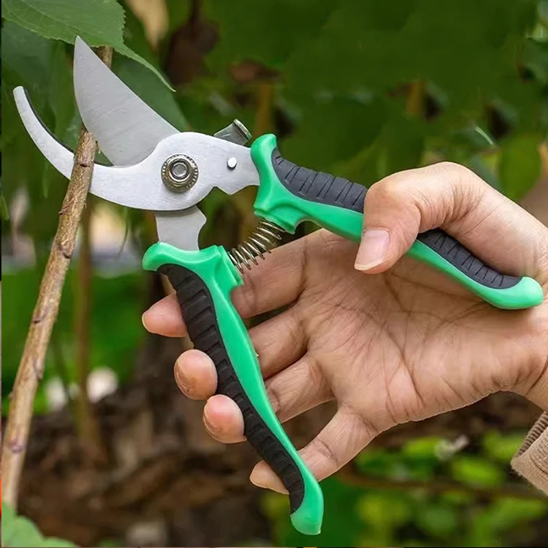 

Stainless Steel Professional Gardening Shears Pruning branches Fruit trees Flowers Household Pruning Tools Shears