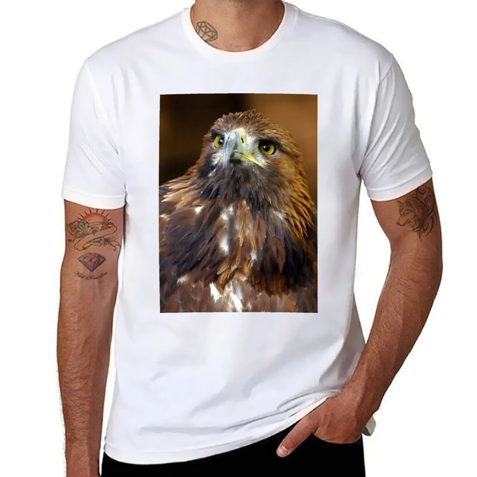 

Golden Eagle - (Aquila chrysaetos) T-Shirt man t shirts graphic man t shirt cotton T-Shirt