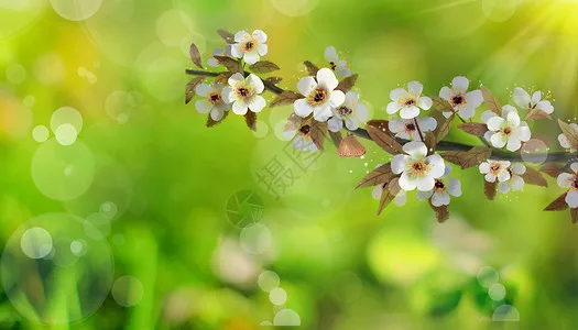 TT-02 transmisión por correa de bajo ruido 16T 40T sistema de engranajes de transmisión DIY modificar piezas de mejora para coche Tamiya TT02 TT-02 1/10 RC