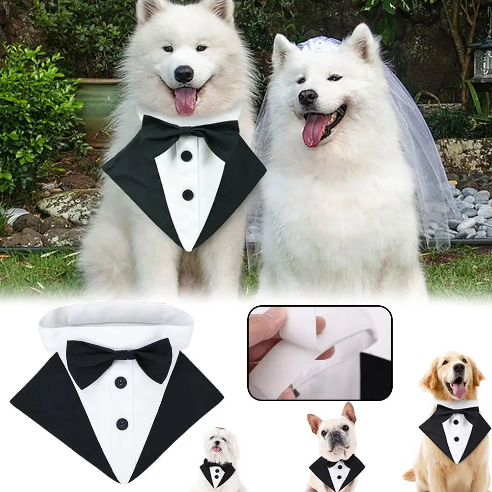 Dog Suit Scarf Teddy Golden Retriever Dog Rowena Dog Dog Pet Collar Suit Dress Suit Clothes Accessories Business Costume Pa W1H3