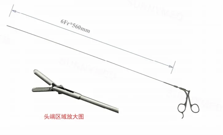 2025.4 SY-NS12 High Simulation Simulation Stomach Adult 1 To 1 Ratio For Teaching Ureteroscopy Training Model