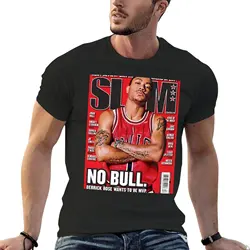 New Derrick Rose Slam T-Shirt plus size tops t shirt man mens clothing