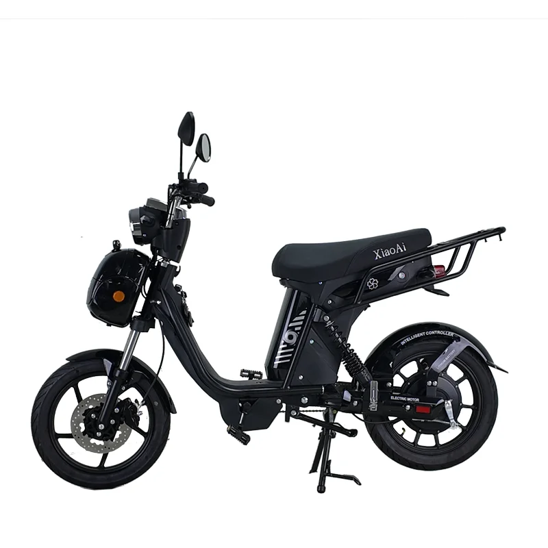 

New Product with High Popularity 800W 40km/h Electric Bicycle Electric Motorcycle