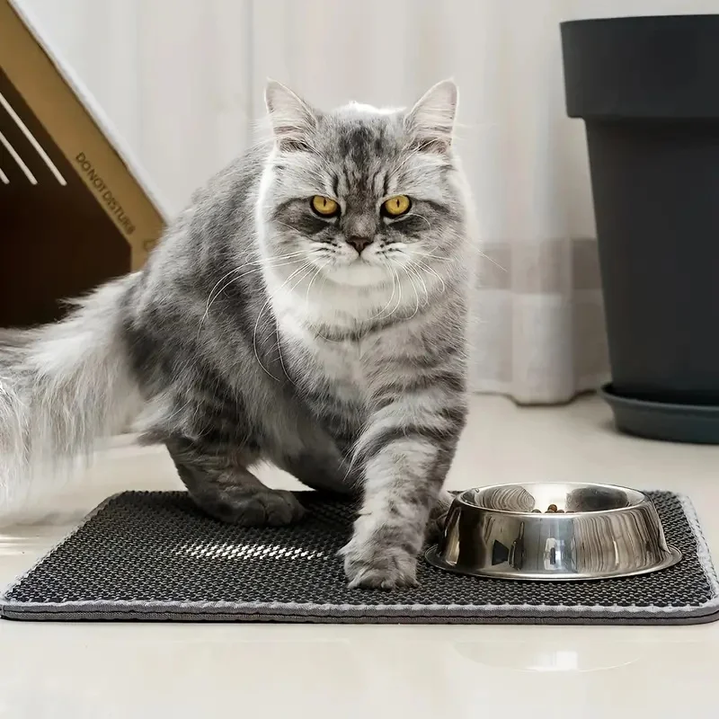 Tappetino per Lettiera per Gat - Cat Litter Mat recensione e prezzo