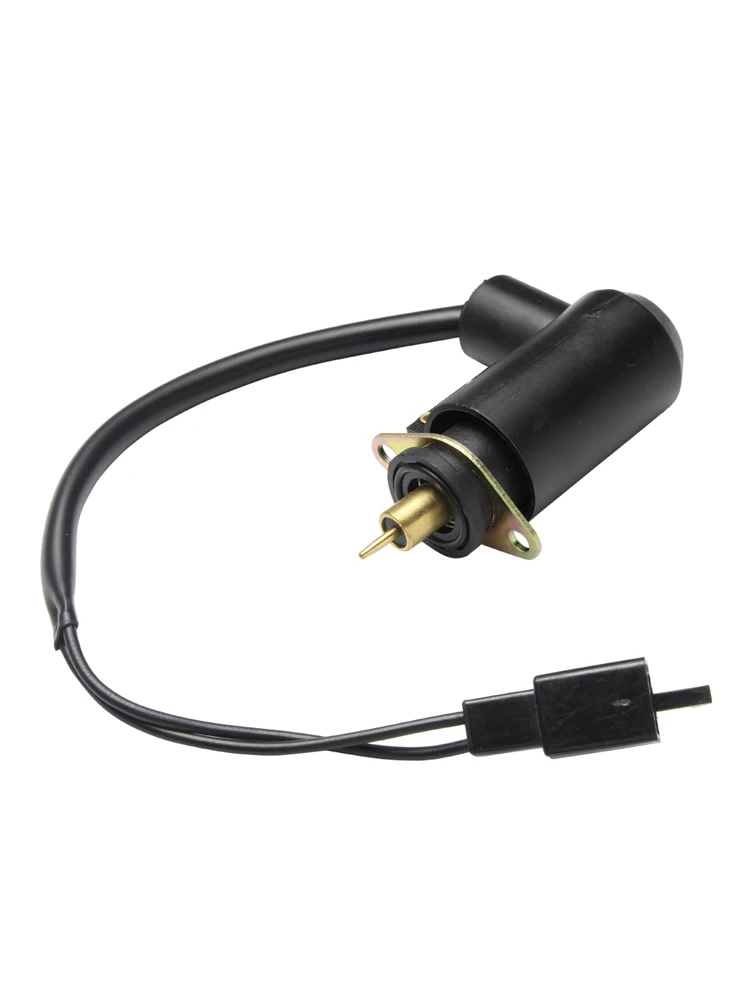Variant: DZFM-BWS100