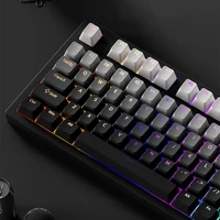Teclas RGB retroiluminadas con gradiente, perfil OEM, teclas PBT de doble disparo para teclado mecánico para jugar Mx Switch, teclas con diseño ISO DIY