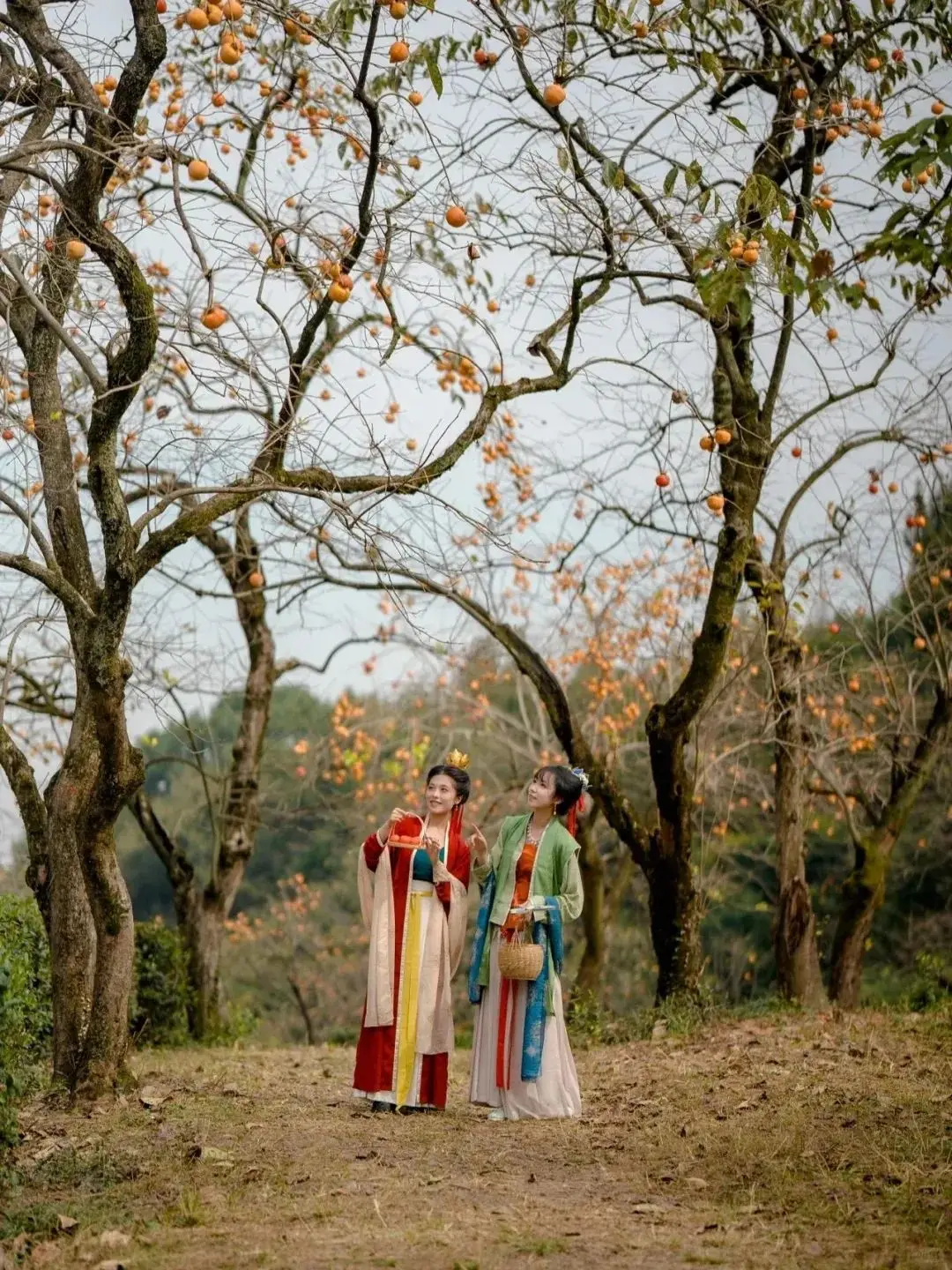 Литий-ионный аккумулятор 25,8 В, 5000 мАч для LG Cord Zero EAC63382204 A9, A9S, P9, A9K-CORE, A9MAX, A9T-Ultra, A9K-PRO, A9N, A9M, A9 Plus