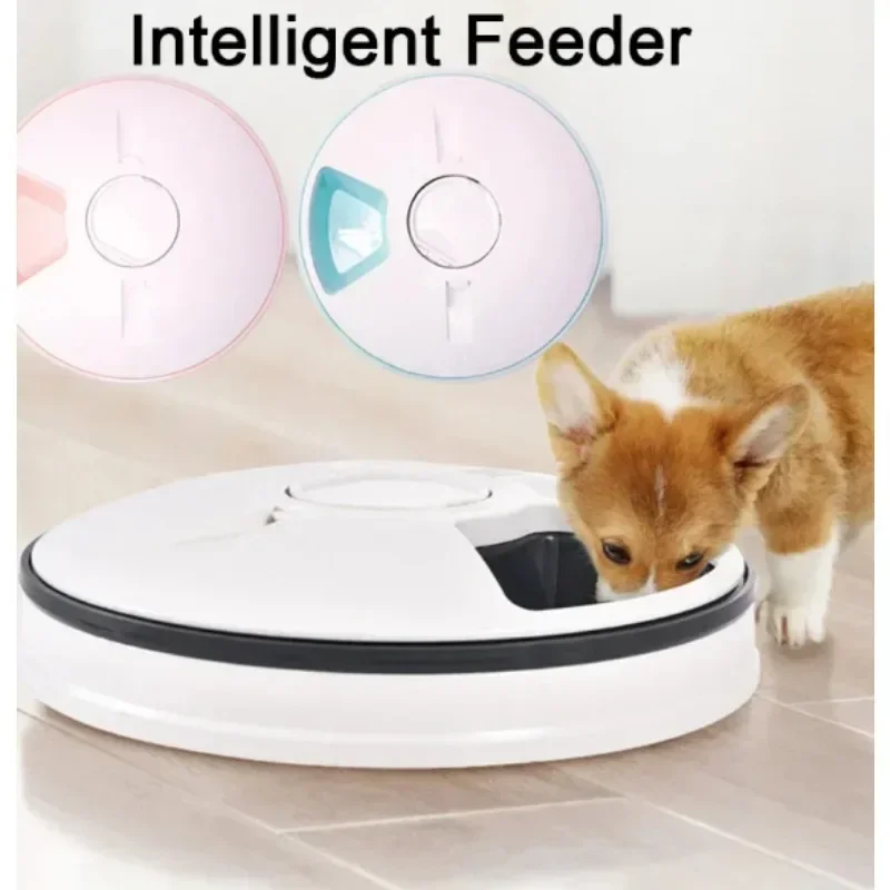 Automatic Pet Feeder 6 Meal Digital Timer Portion Control Voice Recording Dry Wet Food Dispenser for Cats Dogs Home Daily Use