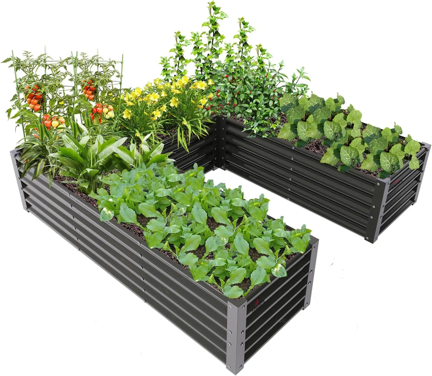 

U-Shaped Outdoor Galvanized Raised Garden Bed, 6x6x1.5ft, Center-Access Bottomless Planter Box, 22-Gauge Corrugated Meta