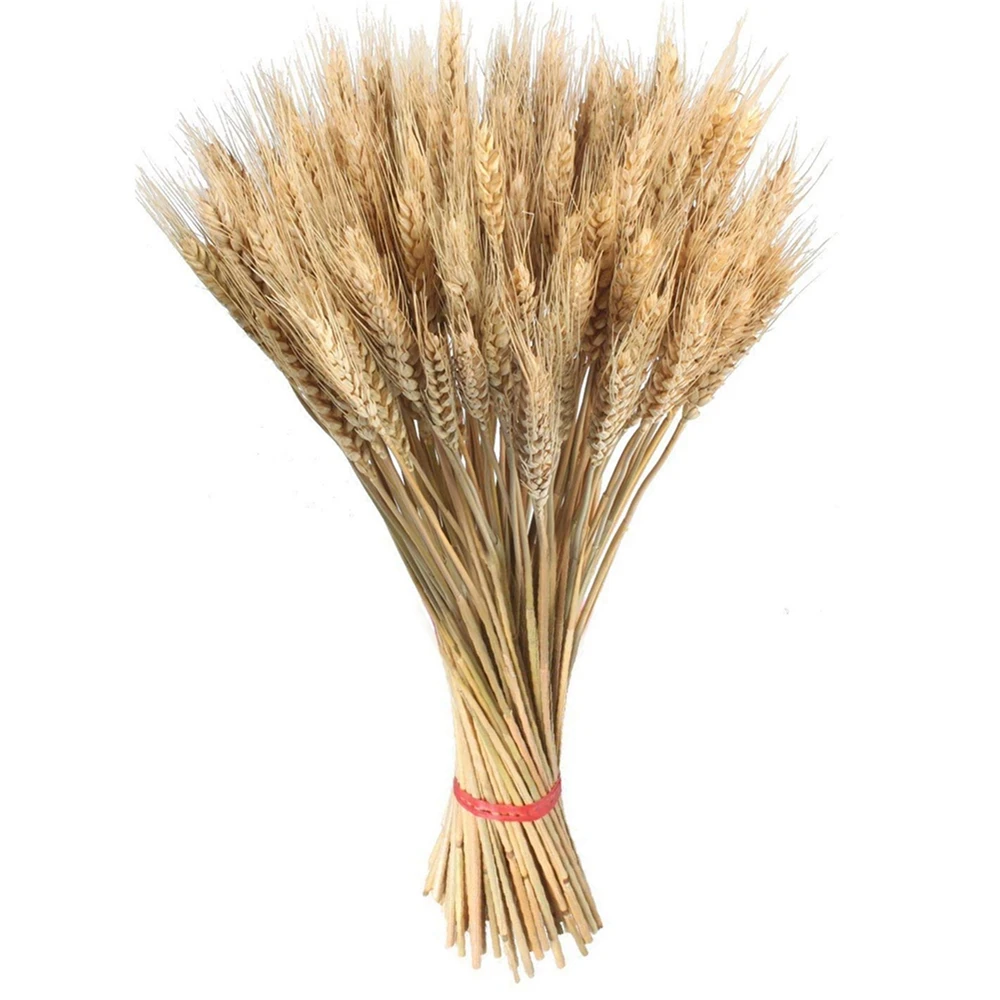 

50Pcs Dried Flowers Real Wheat Ear Bouquet Decoration for Wedding Party Natural DIY Craft Wheat Bouquet Garden Room Home Decor