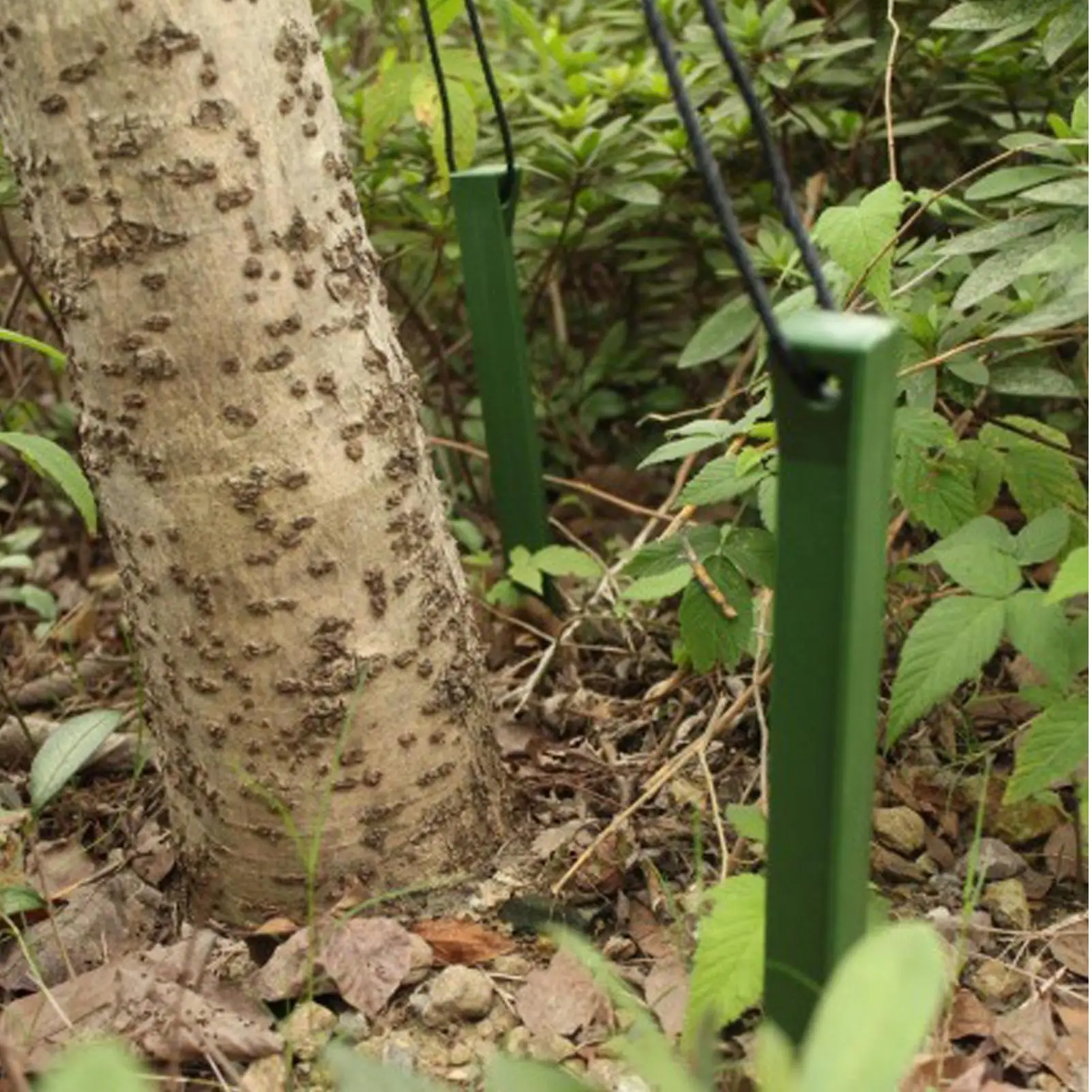 Tree Stake Kit Weather-Resistant Tie-Down Tree Stakes And Supports For Leaning Trees For Against Bad Weather Wind Protection