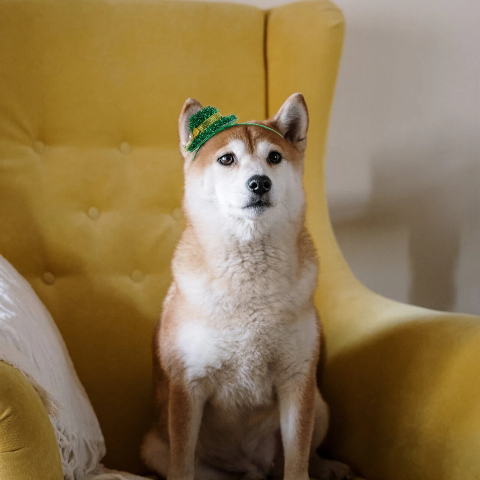 

3pcs Hat-Designed Headband Pet Hairband St. Patrick'S Day Party Hair Accessory Lightweight Durable Festival Decor For