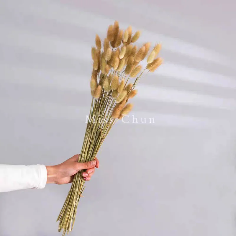 ذيل أرنب مجفف، ترتيبات زهور عشبية، صناعة يدوية، ديكورات طاولة لولائم الزفاف، ديكور زهور مجففة منزلية