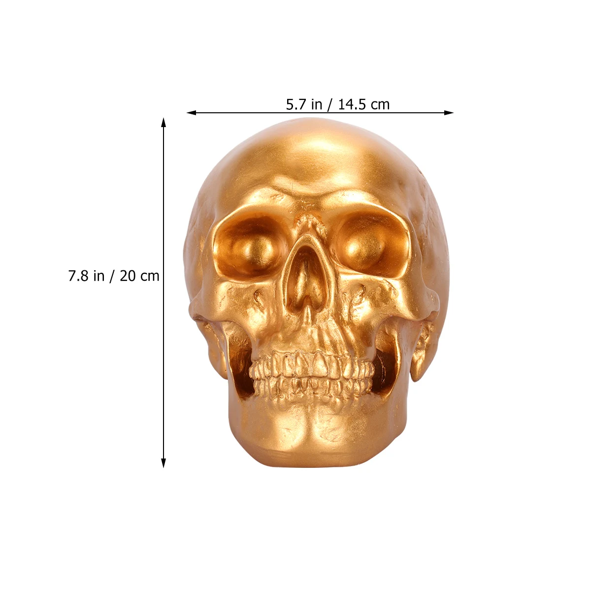 

Skull Head Piggy Bank Halloween Decoration Skeletons Desk Skull Head Resin Ornament Sturdy Lightweight Storage DIY Decor