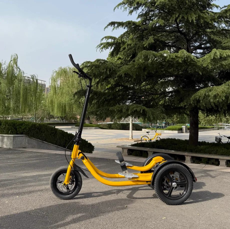 Rower fitness SRJOINfit Step, rower stojący z pedałami, składany rower fitness typu step, rower trójkołowy popularny w Internecie.