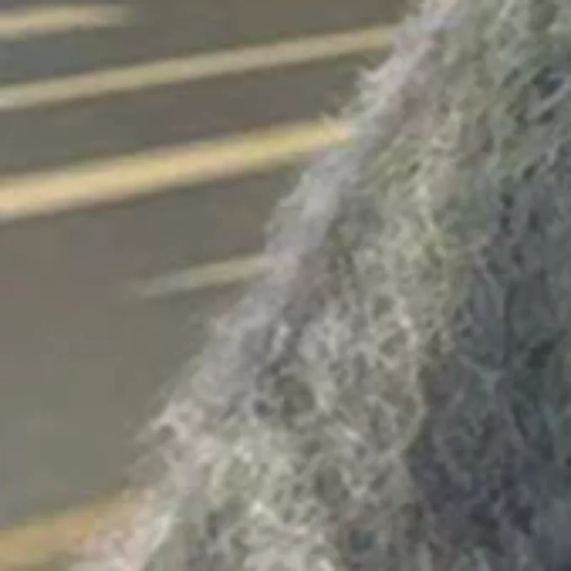 الخريف والشتاء الدراجات الدافئة ومتعددة الاستخدامات حماية الأذن لطيف فروي الثعلب الفراء الدب الأذن قبعة تبدو صغيرة قطعتين هود وشاح مجموعة #1