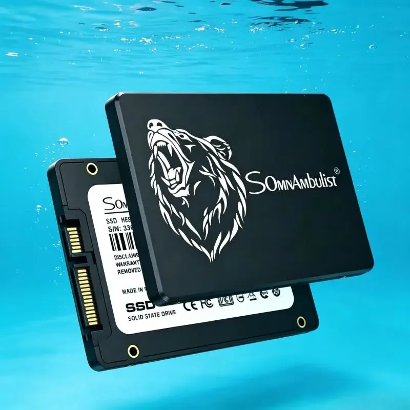 

Premium SomnAmbulist 2.5 Inch SATA3 SSD Owns Various Multiple Options, Reliable Internal Storage for Home and Office Notebook