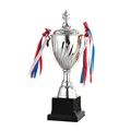 Silver-29CM