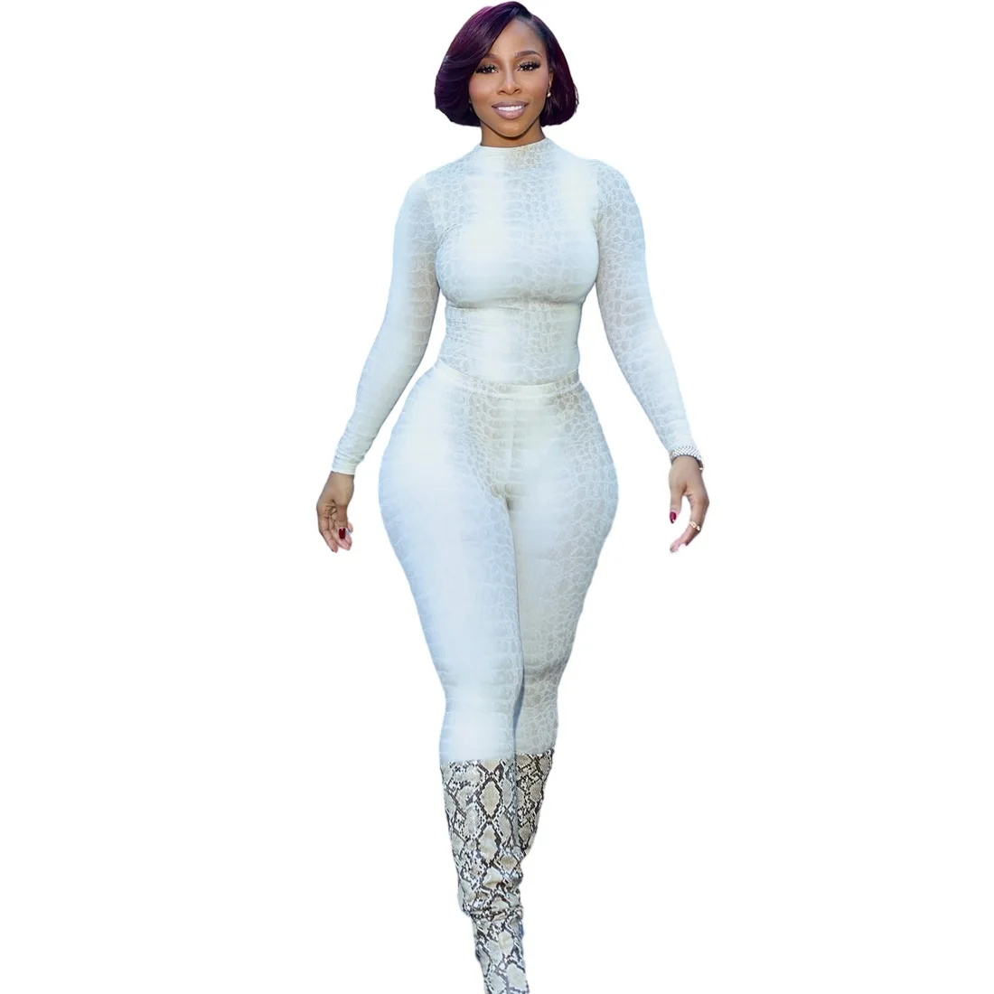 Women Snake Print Two Piece Set Mock Neck Long Sleeve Crop Top High Waist Skinny Pants Bodycon Matching Clubwear Outfit