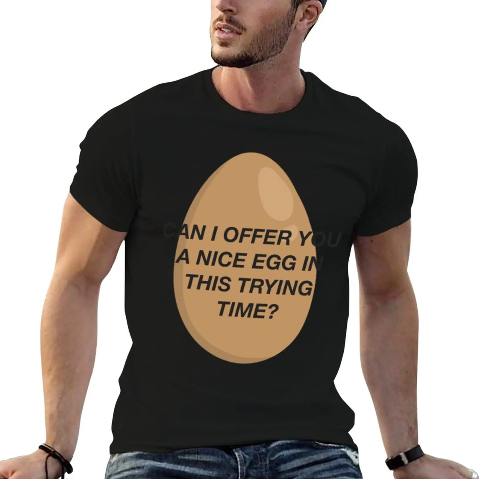 CAN I OFFER YOU A NICE EGG IN THIS TRYING TIME - It_s Always Sunny T-Shirt Simple Casual Short Sleeve Tee
